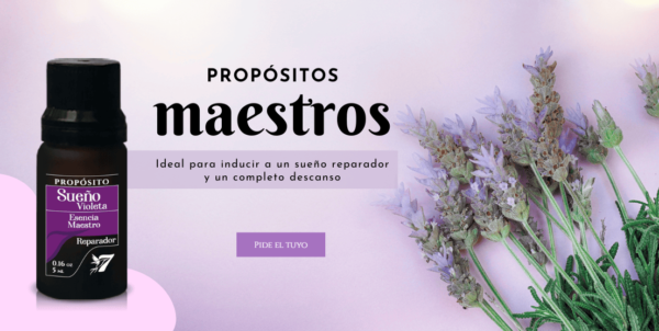 Aceite Corporal – Sueño Violeta - Image 3